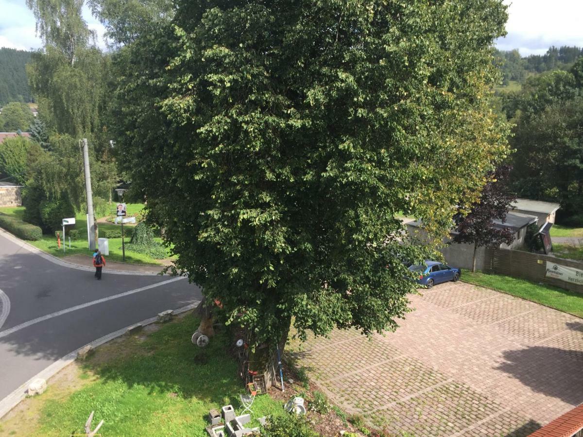 Ferienwohnung Amanda Stützerbach Екстериор снимка